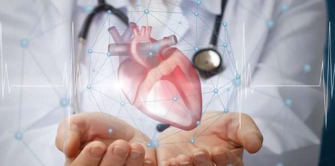 Сердце и сосуды: в лабиринтах кардиологии